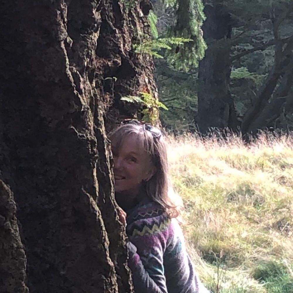 Emma Andrews 💚🌿🍂🌹🍄🔥🐾🏕️🏳️‍⚧️🏳️‍🌈