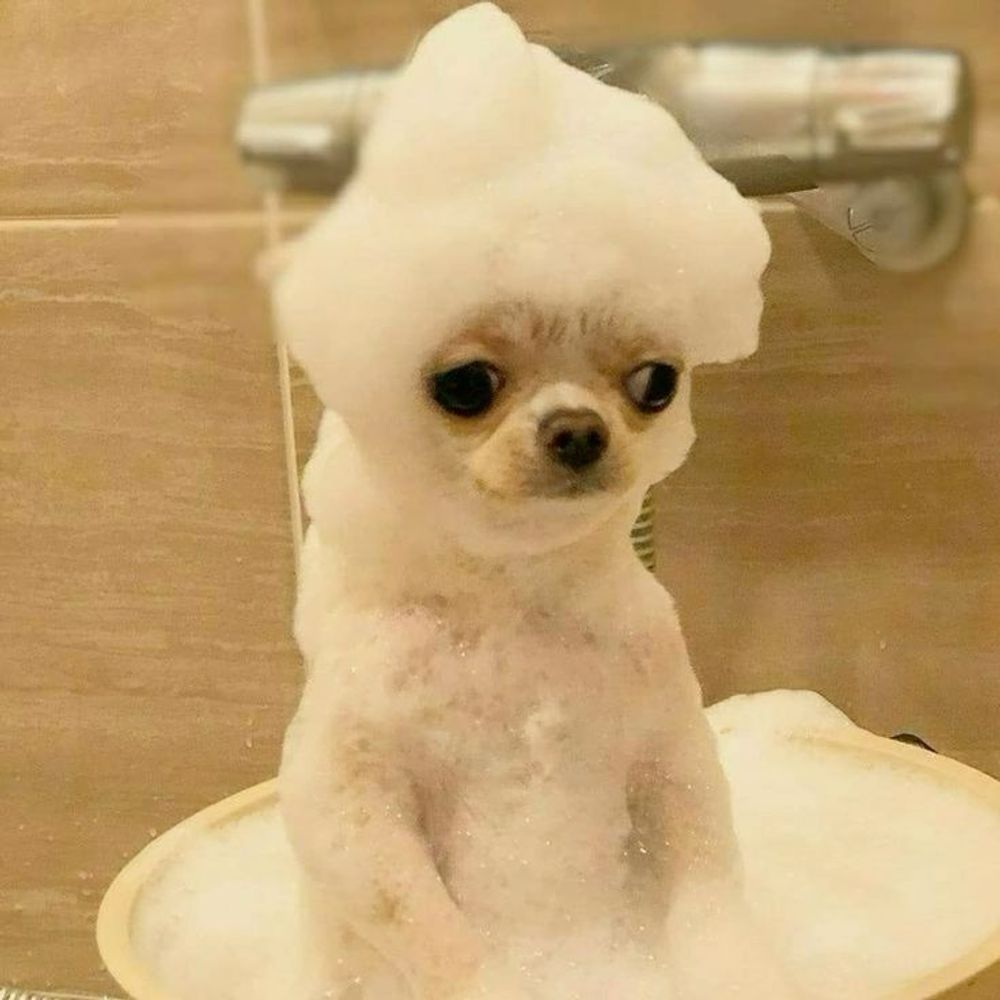 나두