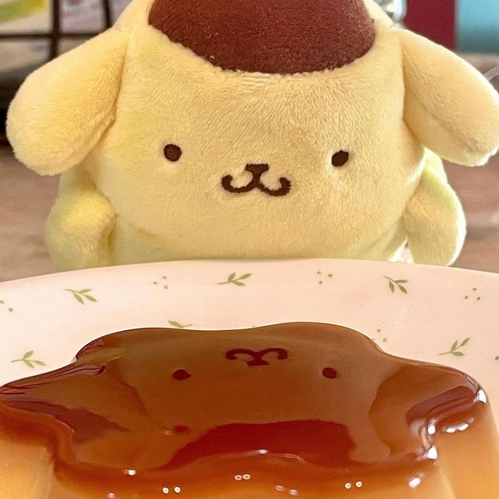 dania 🍮