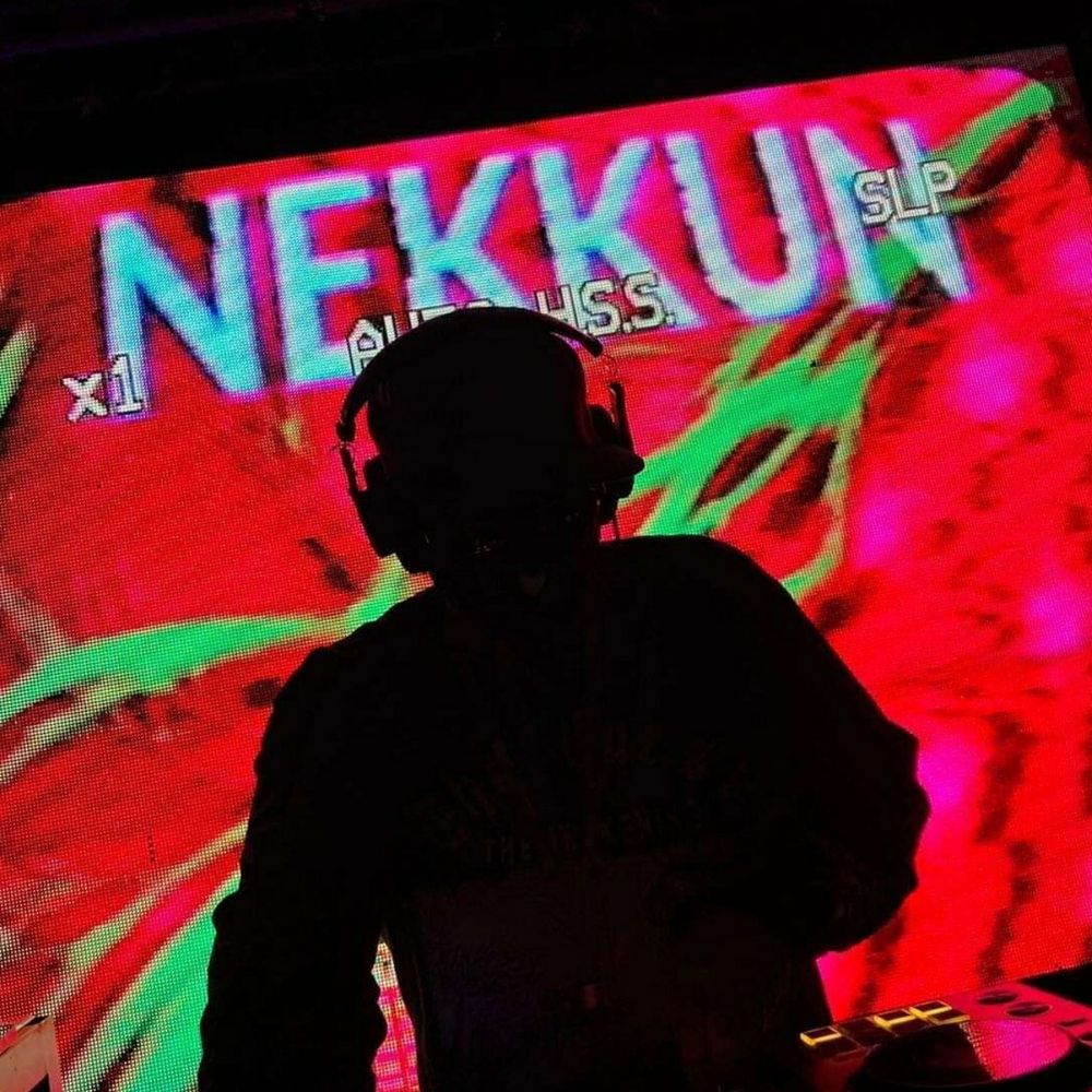 N3kkun's avatar