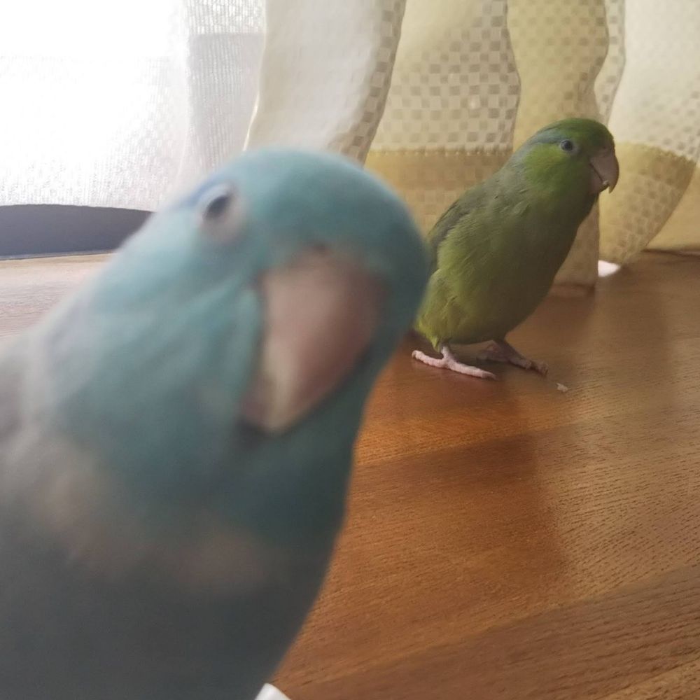 うすしお