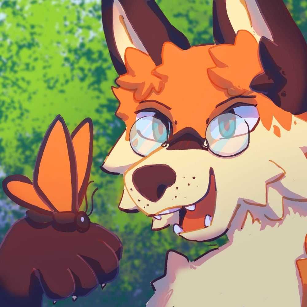 finnthefox