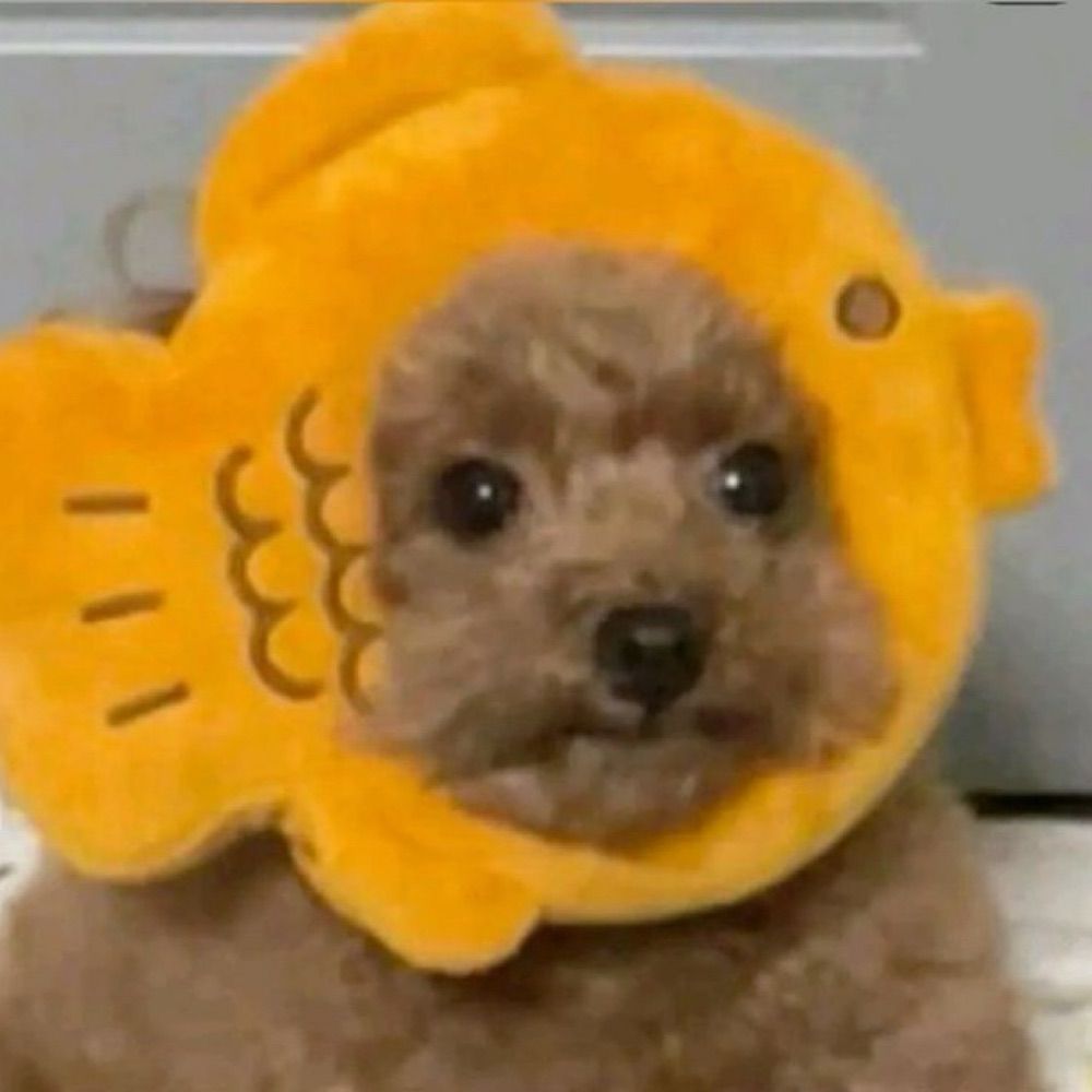 suji
