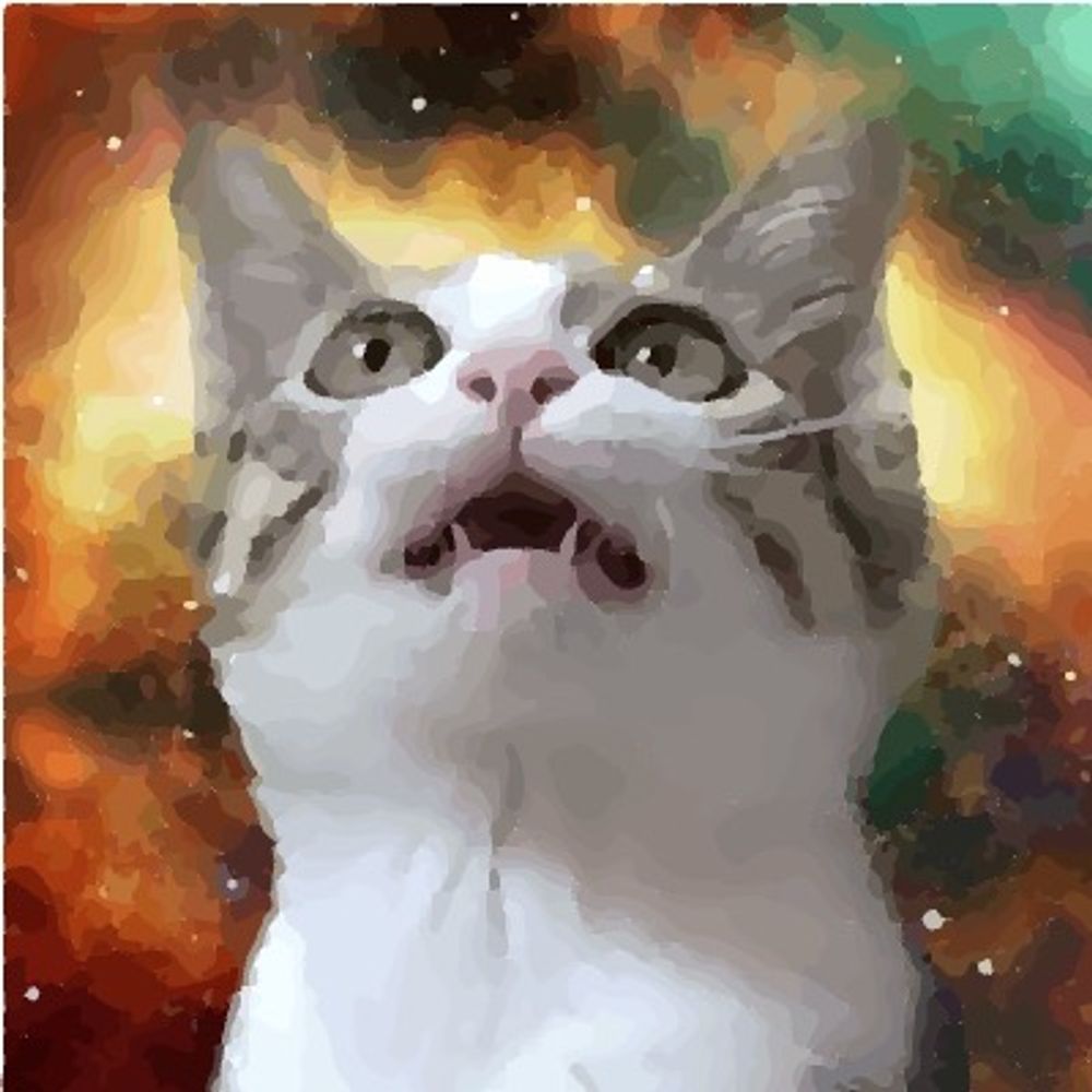 cat2koban