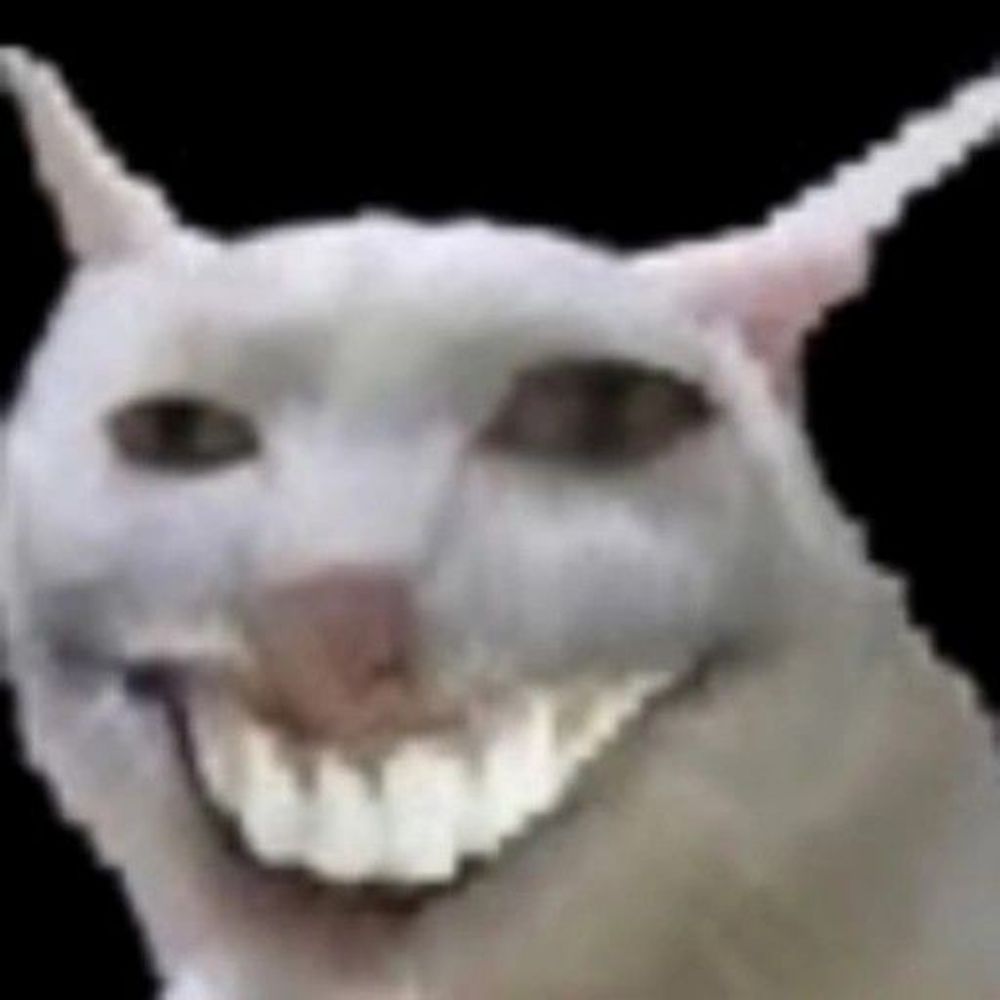 𝙣𝙖𝙩𝙪𝙧𝙖𝙡 𝙗𝙤𝙧𝙣 𝙠𝙞𝙙𝙙𝙤