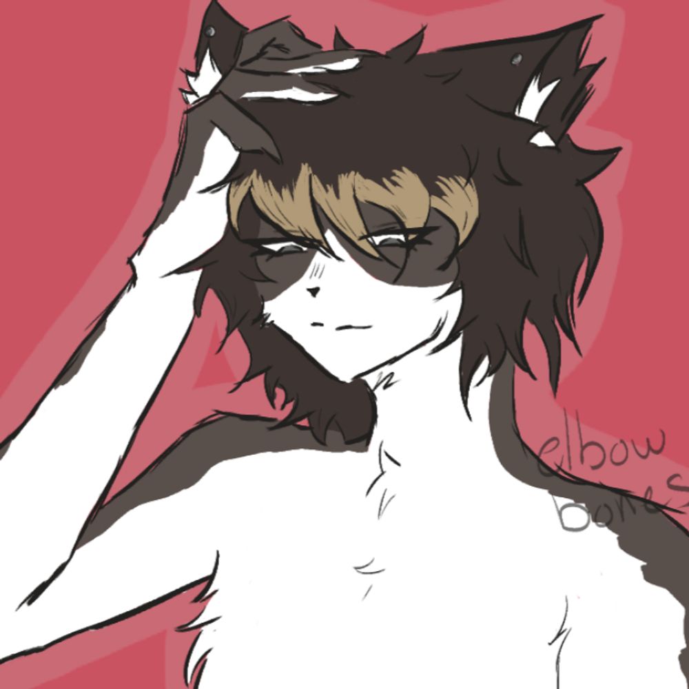 ✩ Bones ✩
