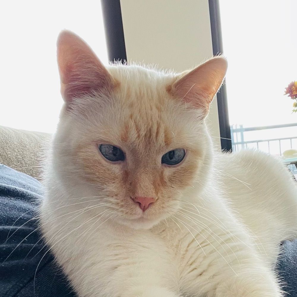 Sam