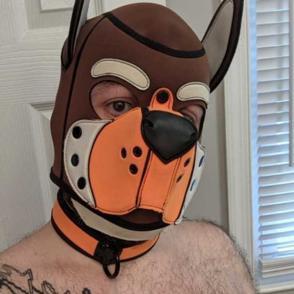 Pup Fiddle's avatar