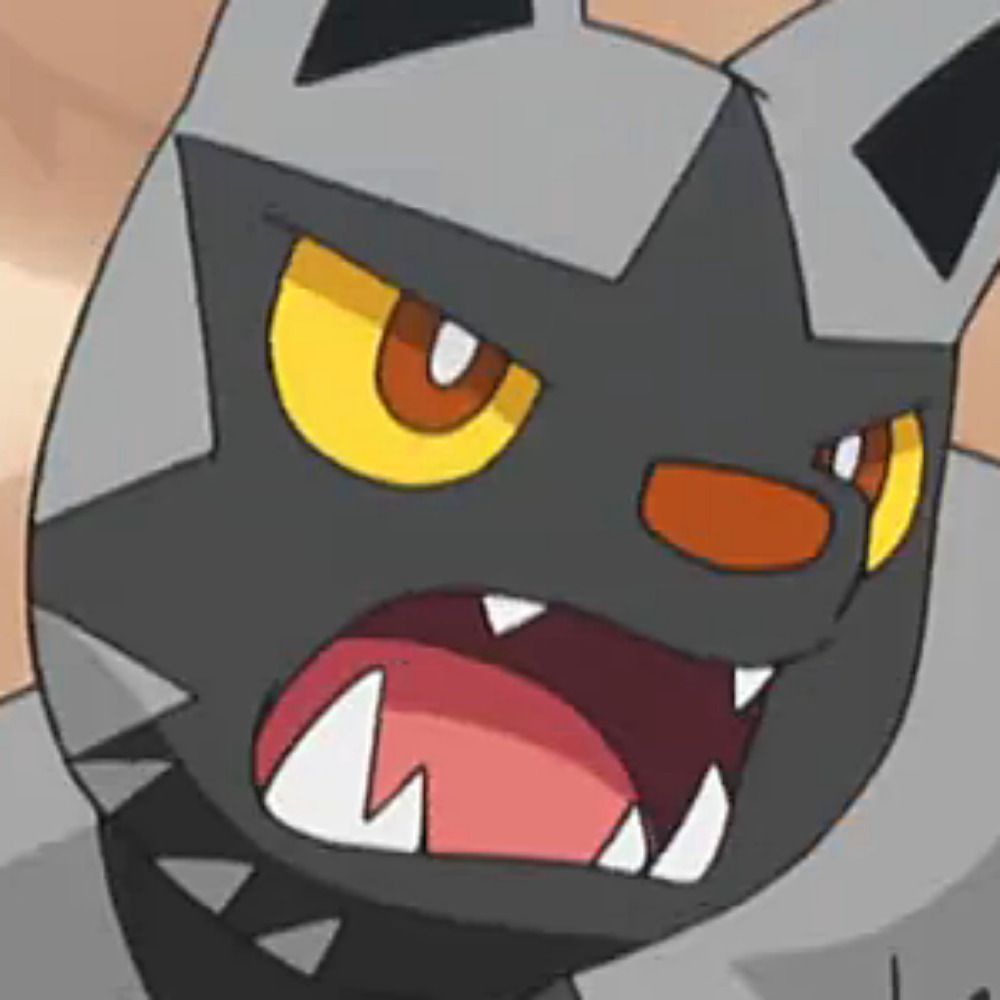 poochyena.bsky.social profile picture