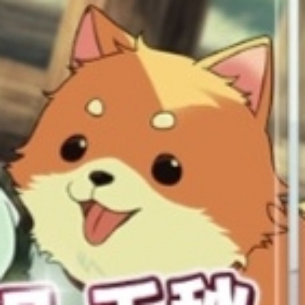 정지윤