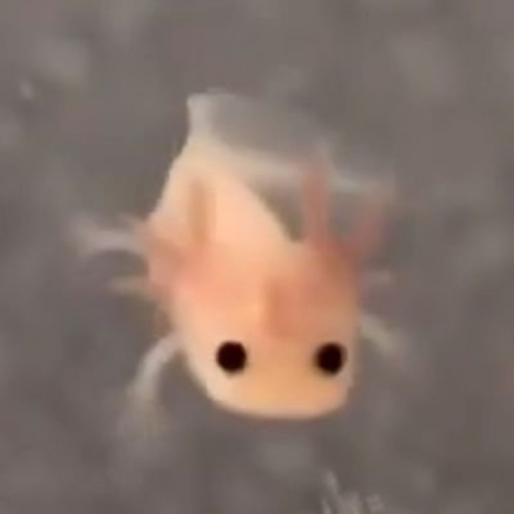 ㅁㅂ
