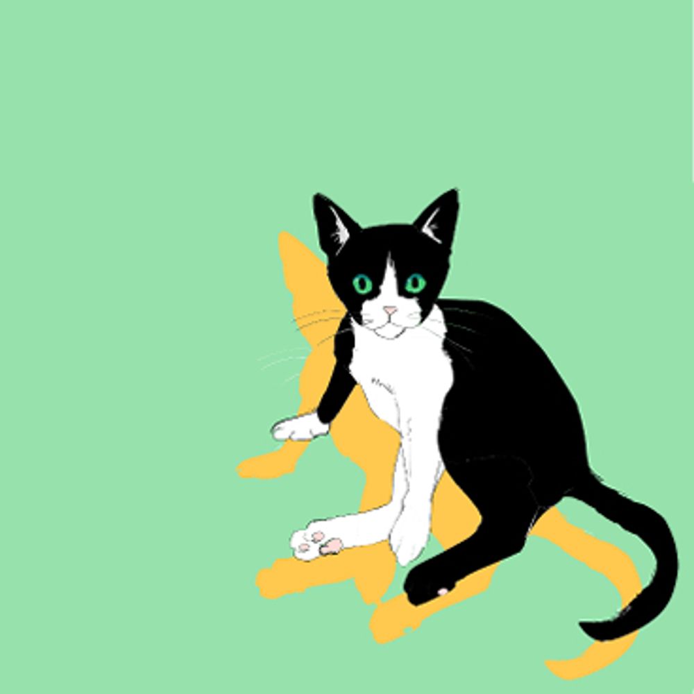 Saya