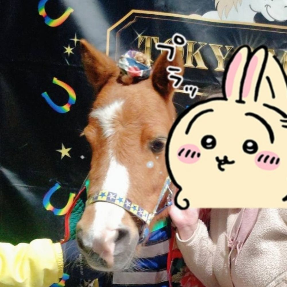 魔王☆ももたす