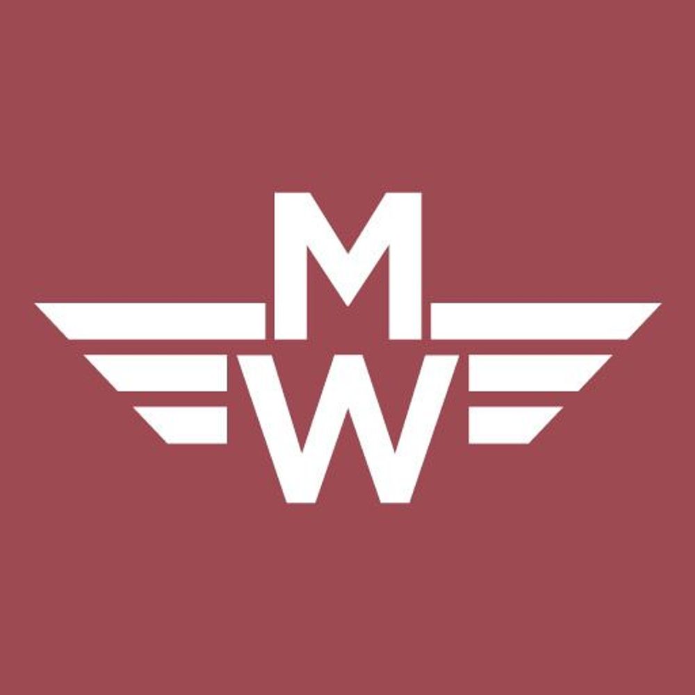 The Movie Wingman