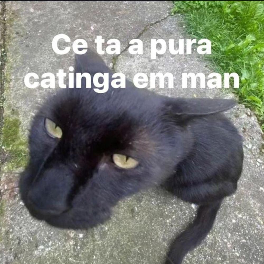 Mendigo 