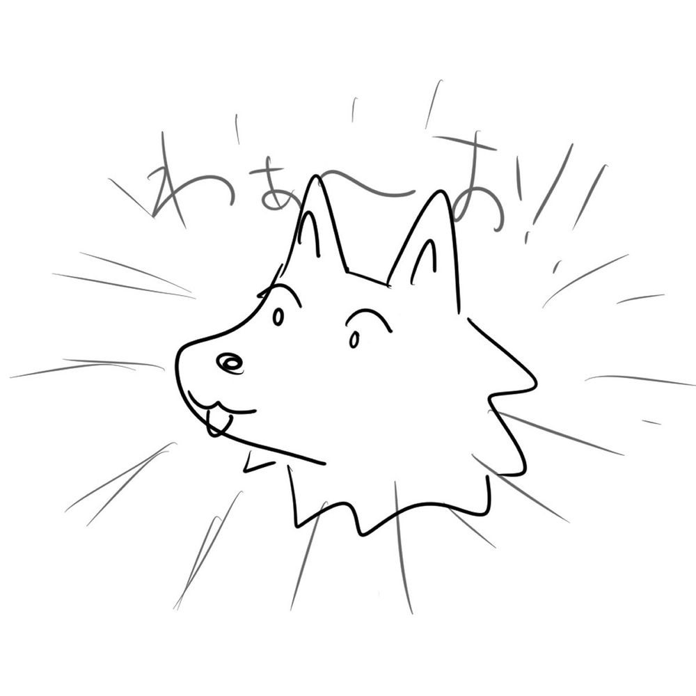 コンタ