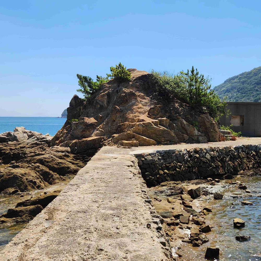 不治の樹海