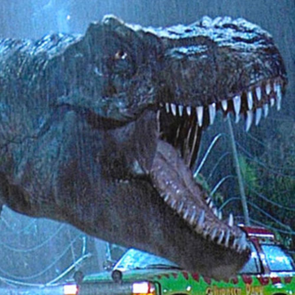 An Actual T Rex