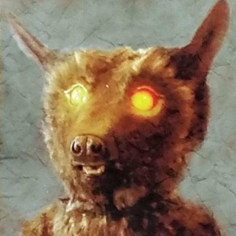 Hobbsy