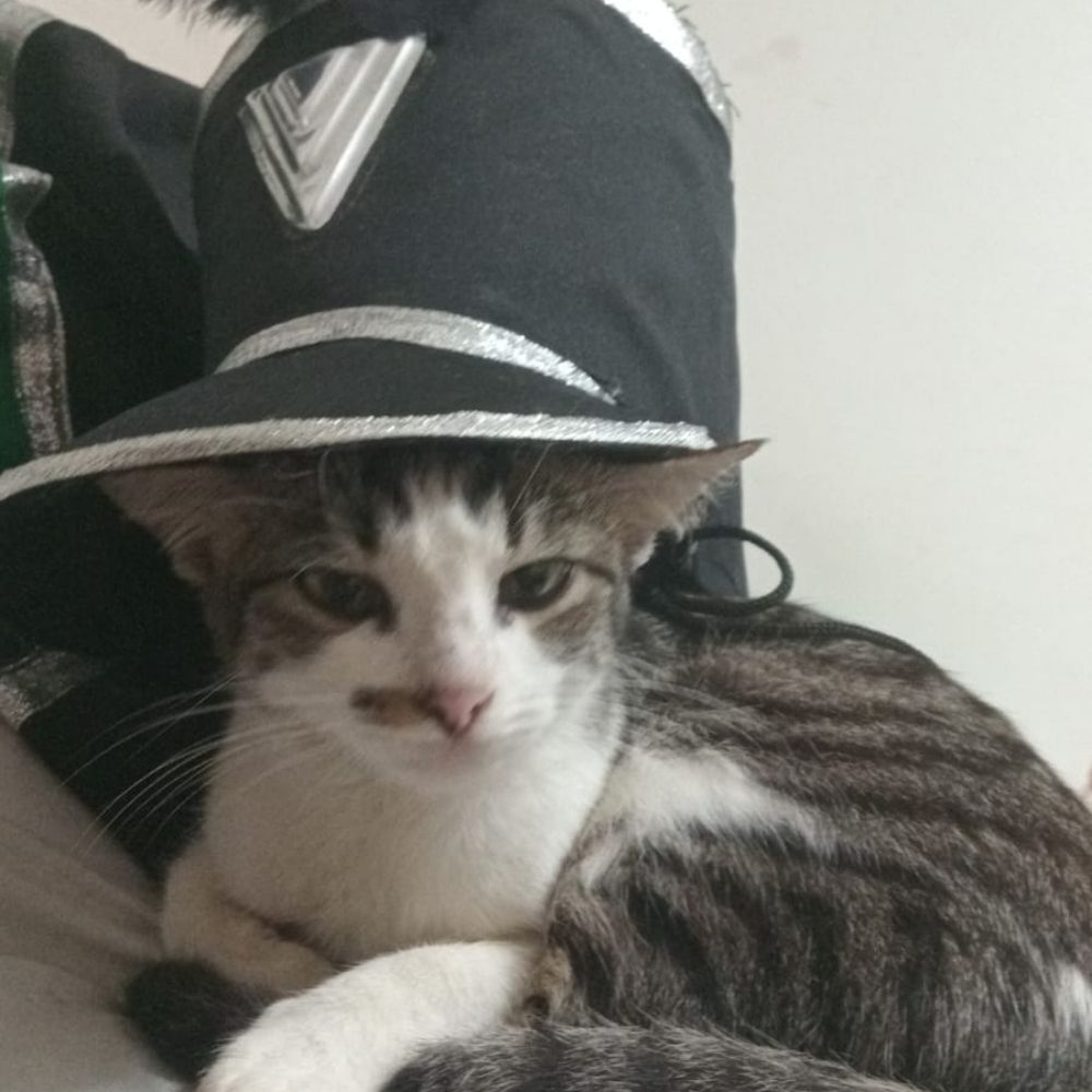 Nic