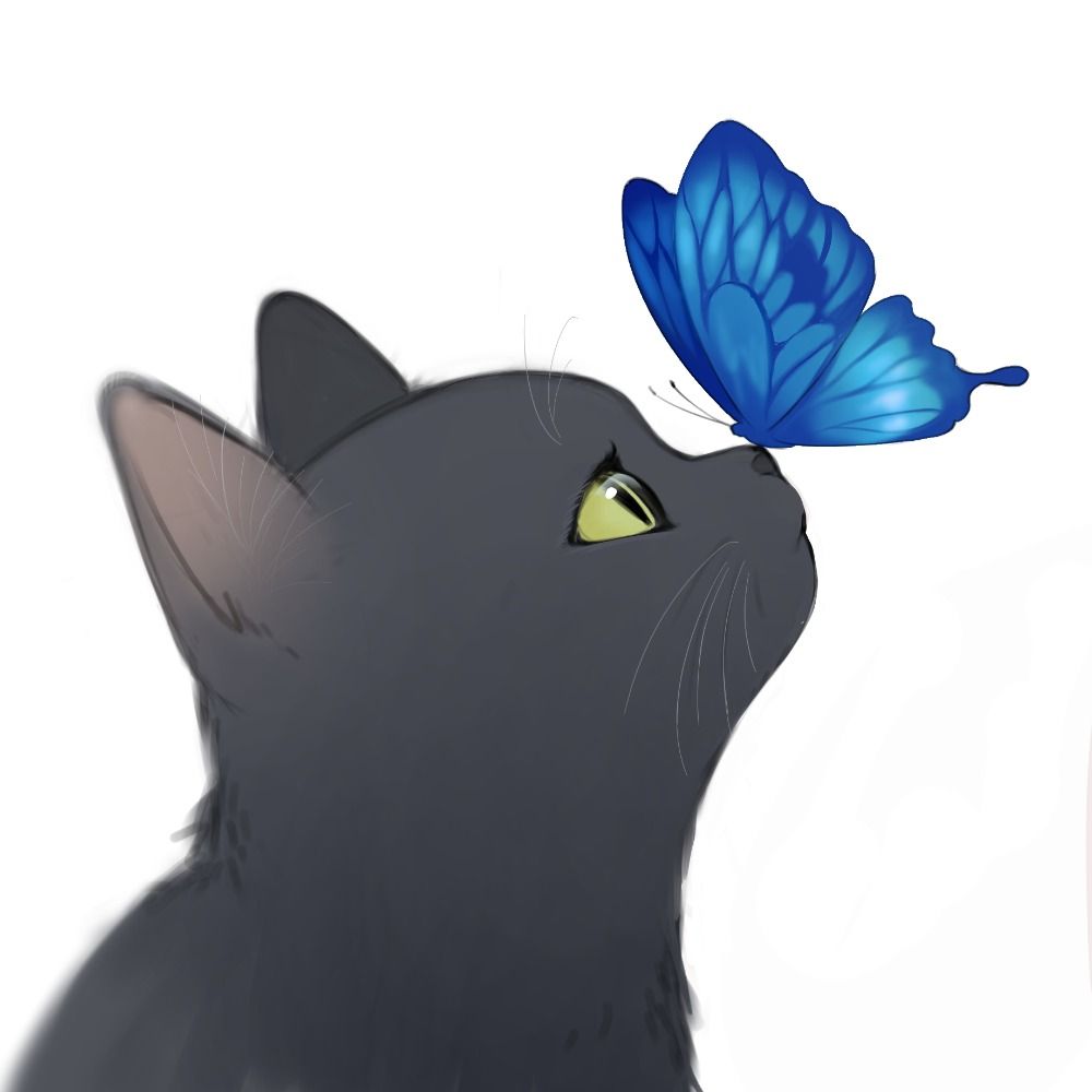 きゅ
