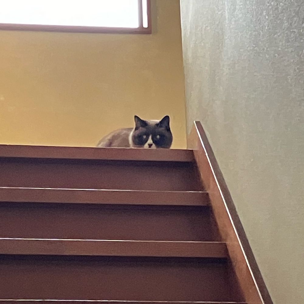 がと