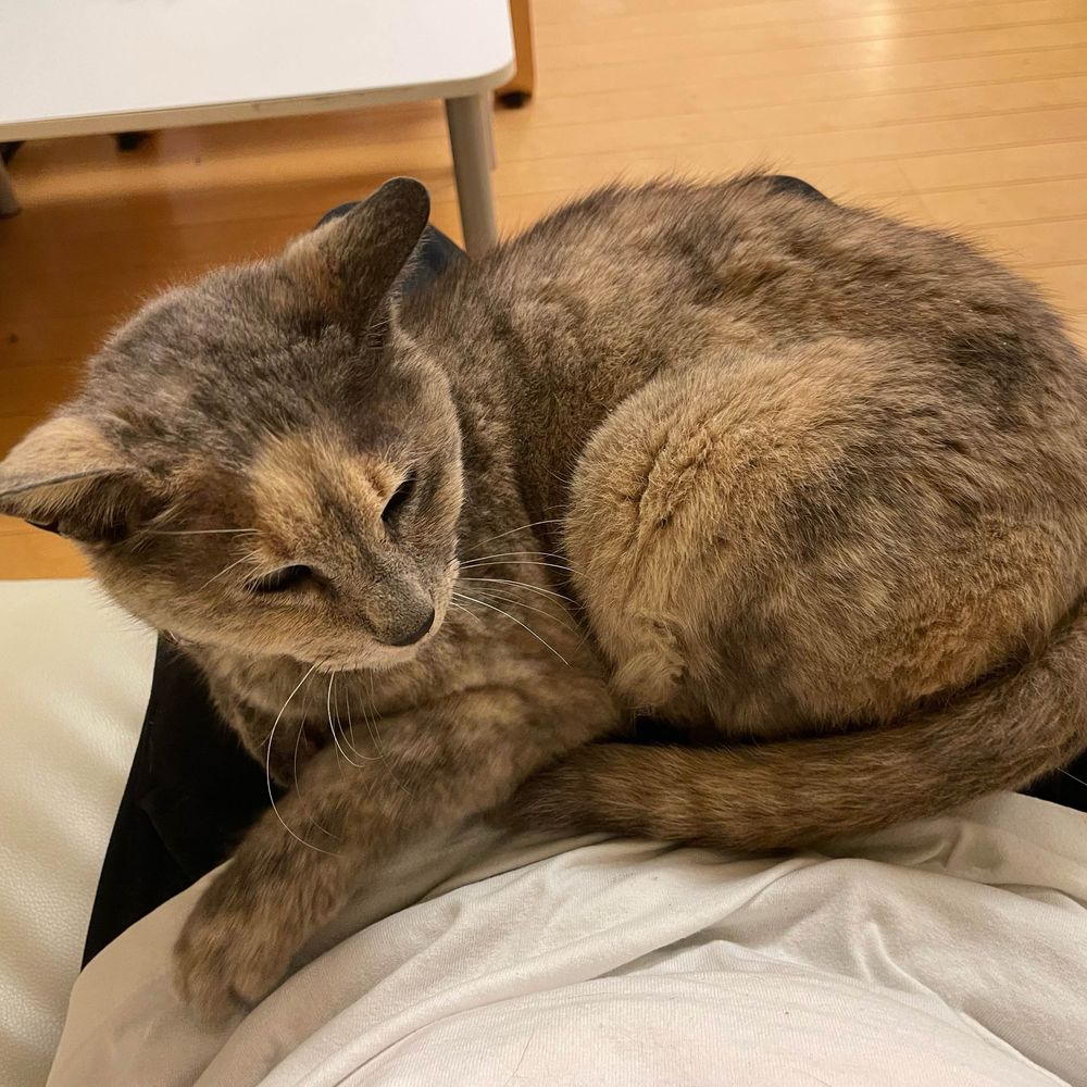 Amfy