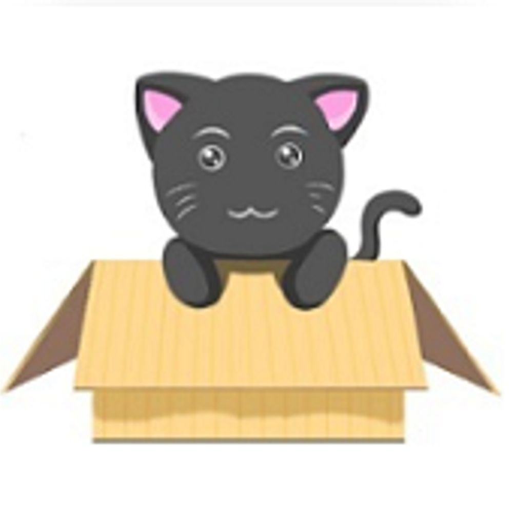 黒猫