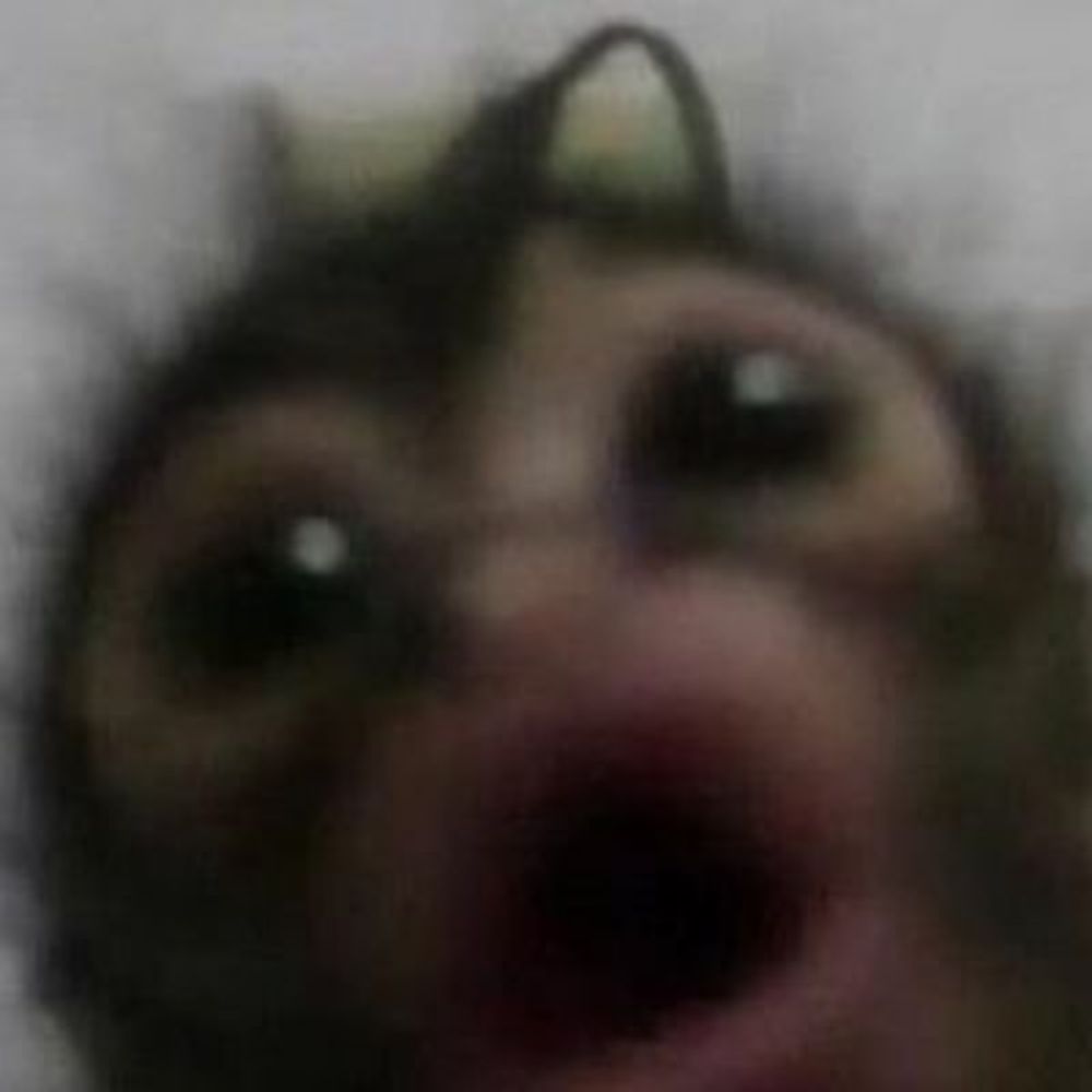 Monkeyman76