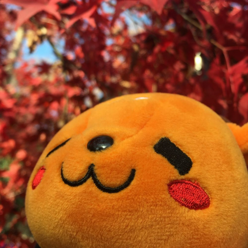 さとー