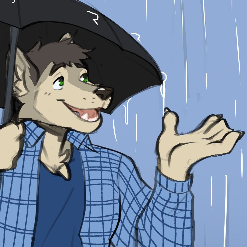 The Weather Wolf