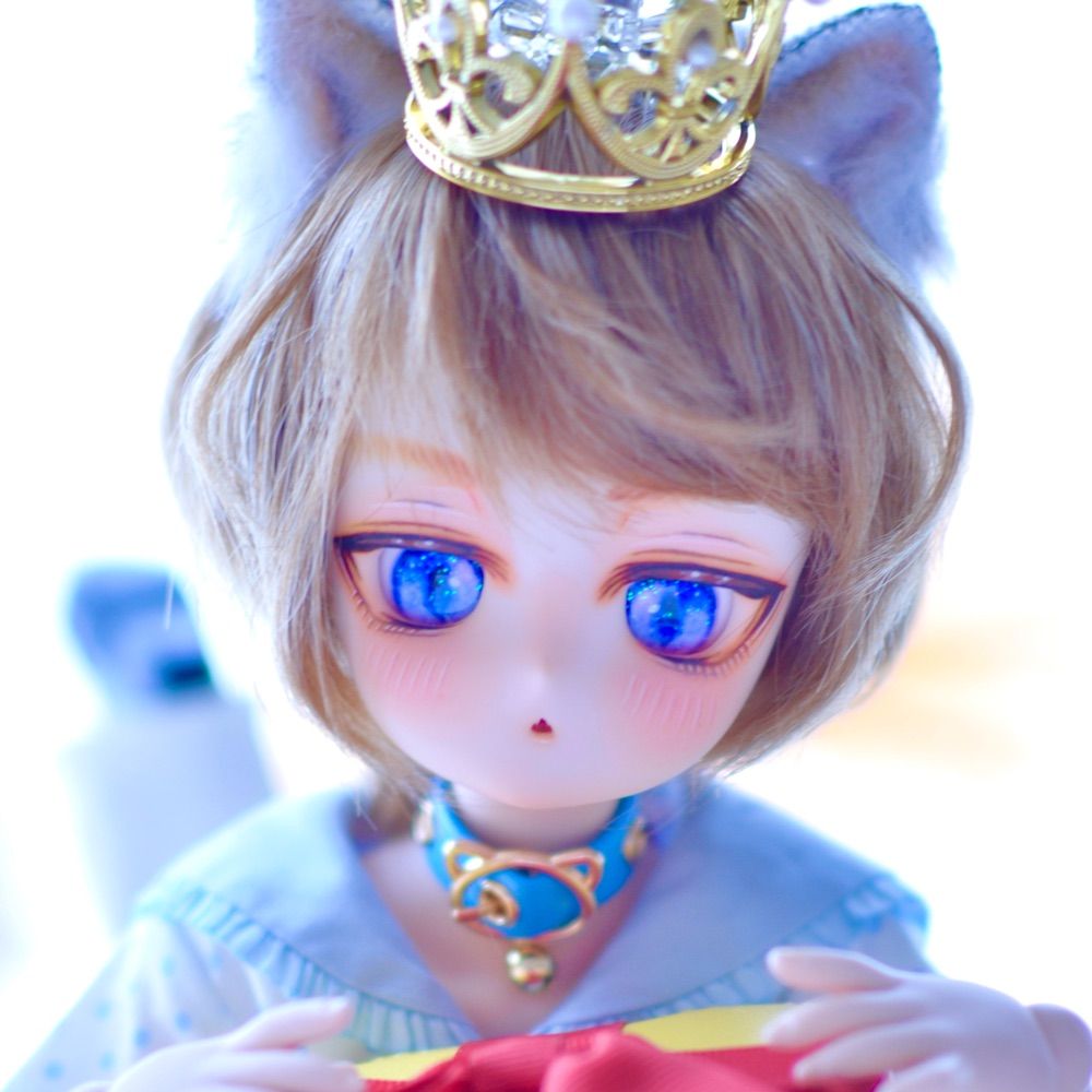 まこち❁⃘*.ﾟ