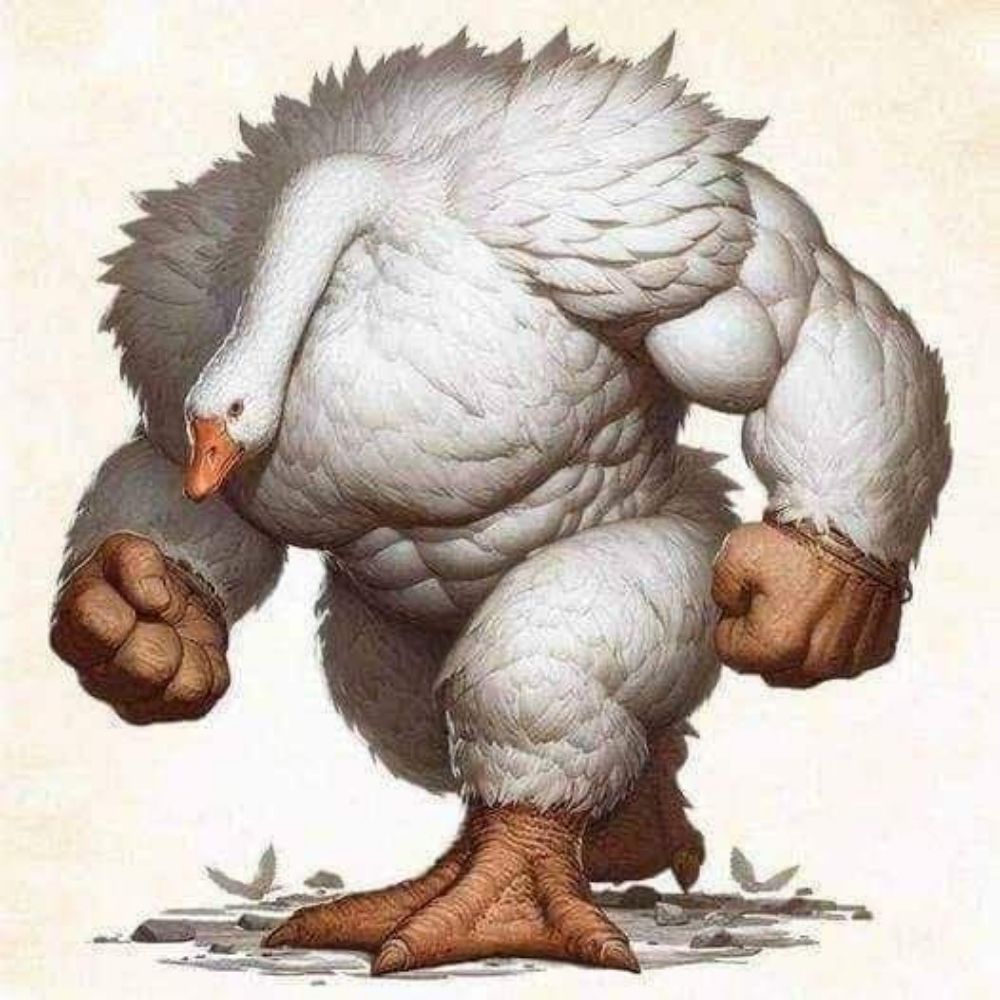 Silly Goose