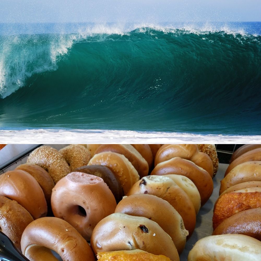 OceanBagel