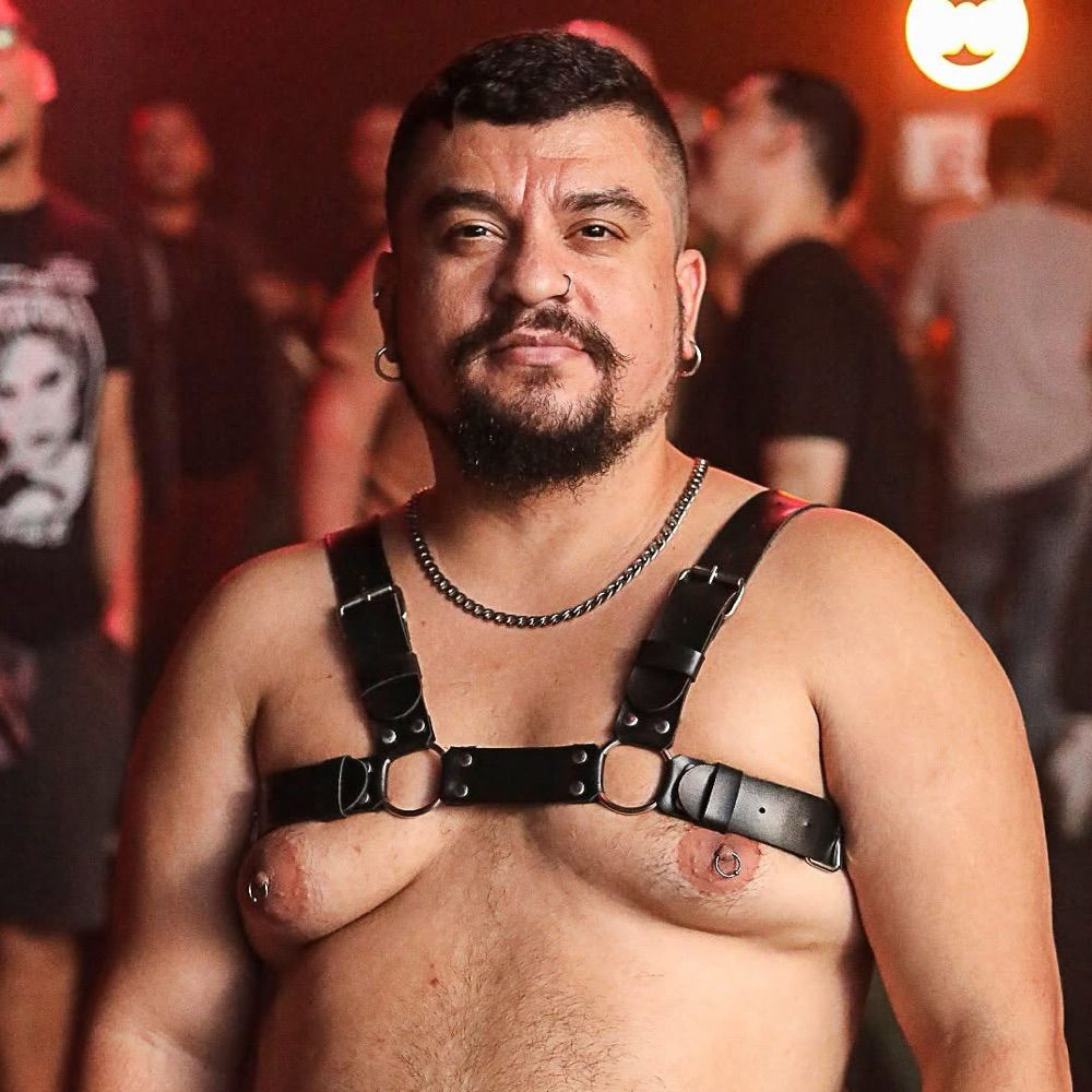 Urso de Pequeno Porte