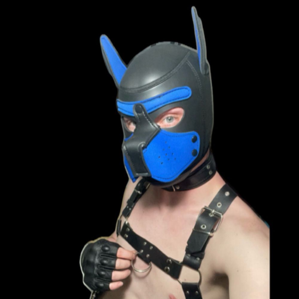Pup Nova KW