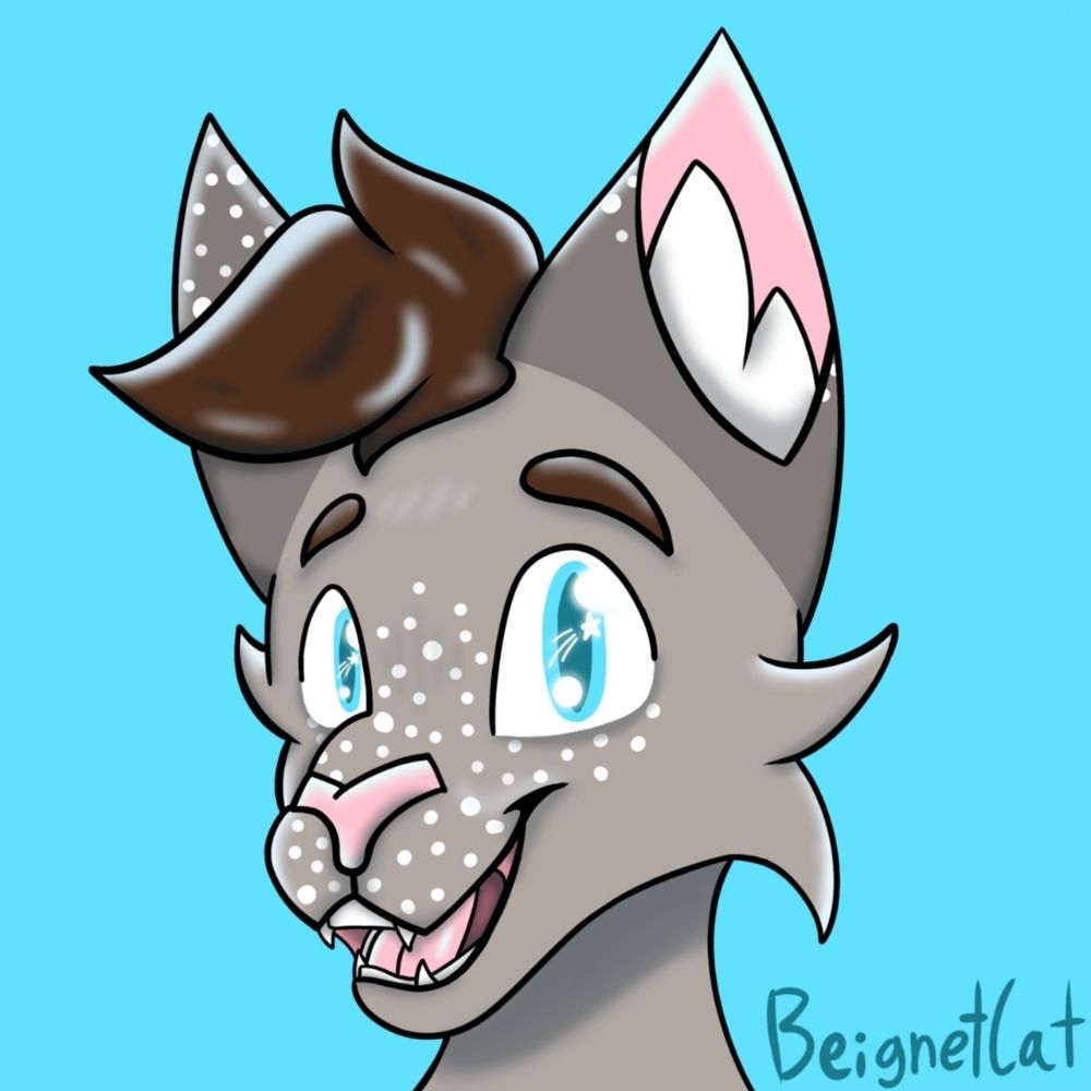 🐾💙Beignet Cat💙🐾