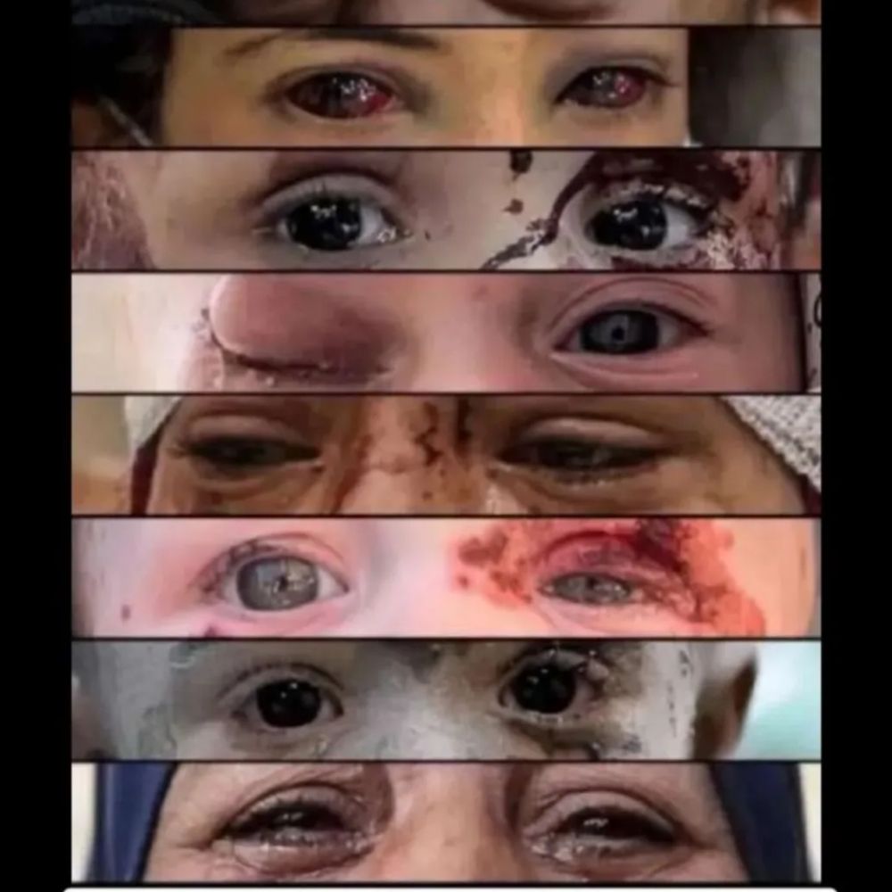 LenaKhamiss From Gaza