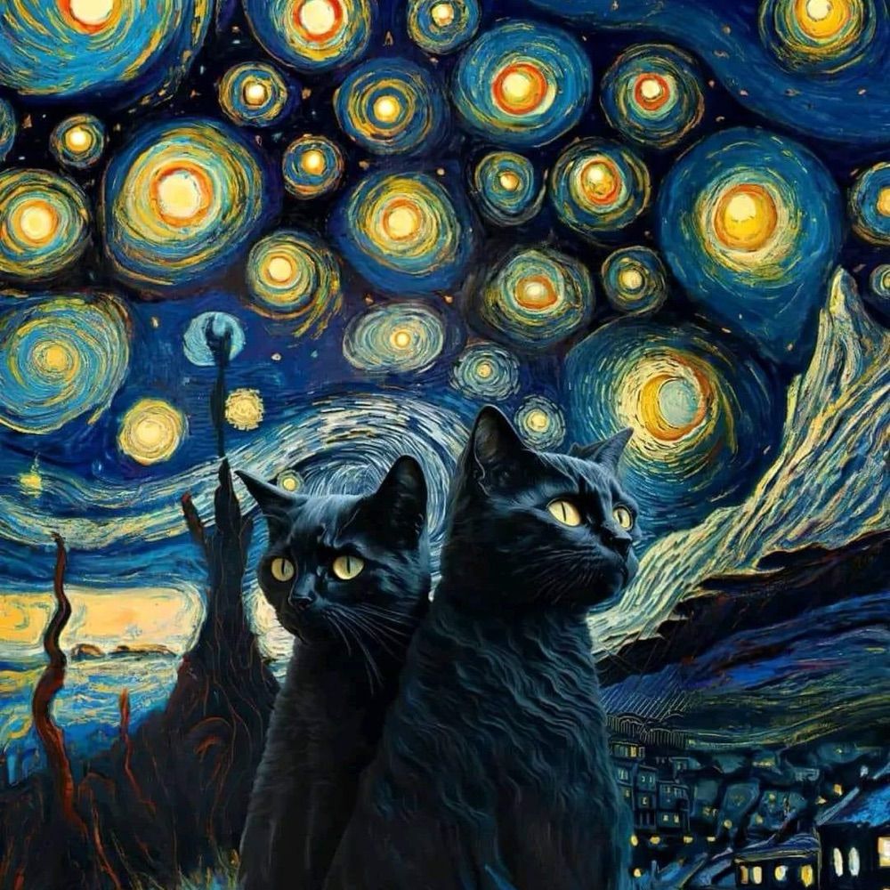 AngryCatLadyReadyToFight