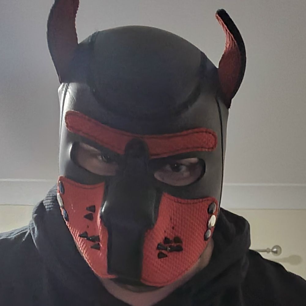 Pup Jay
