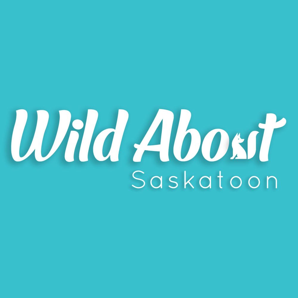Wild About Saskatoon
