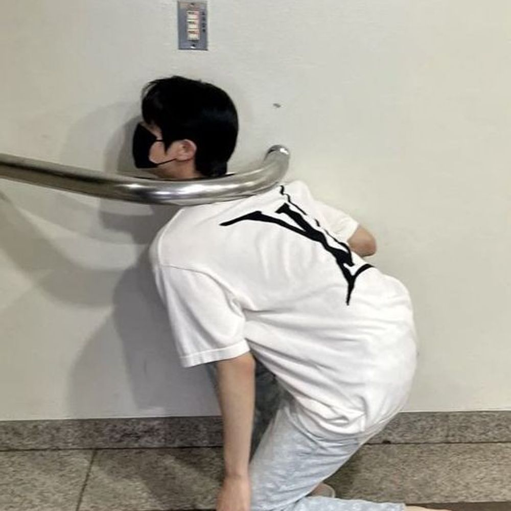 Shiball