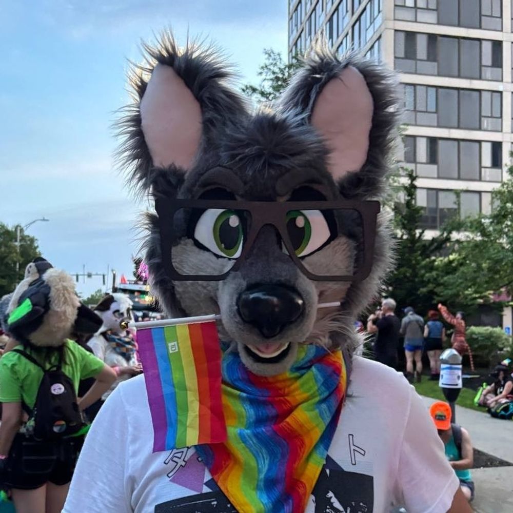AJ Wolfie