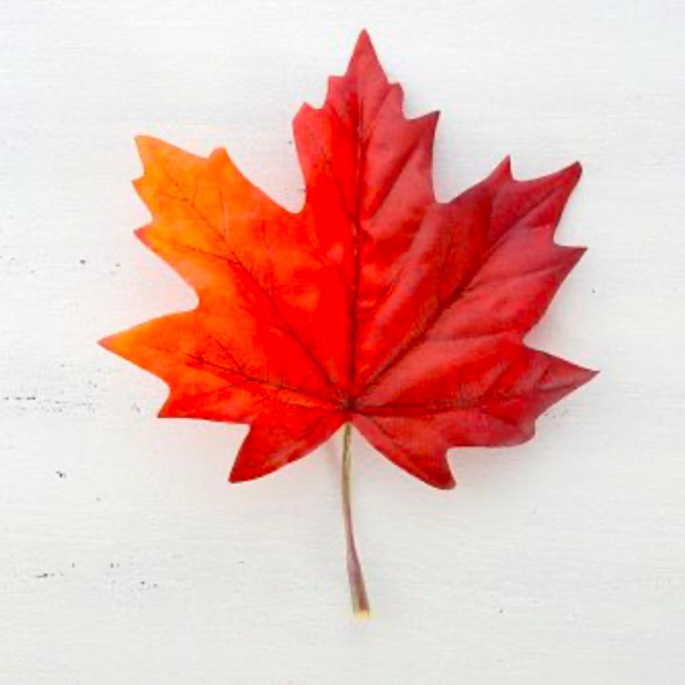 mapleleafman