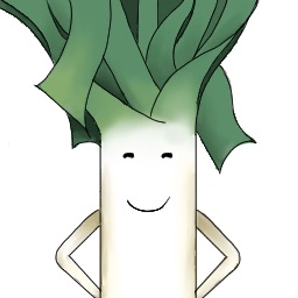 Leeksoup