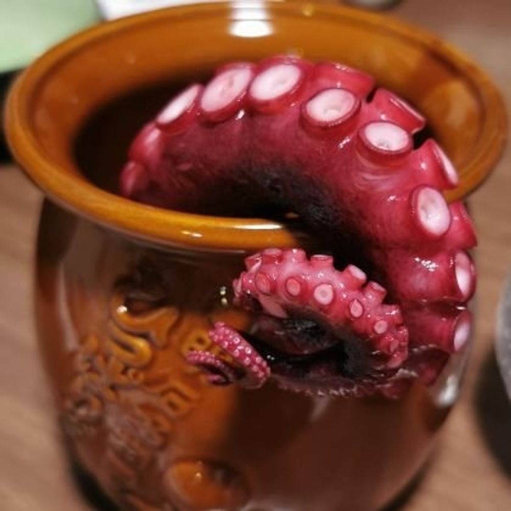 垣根あけび