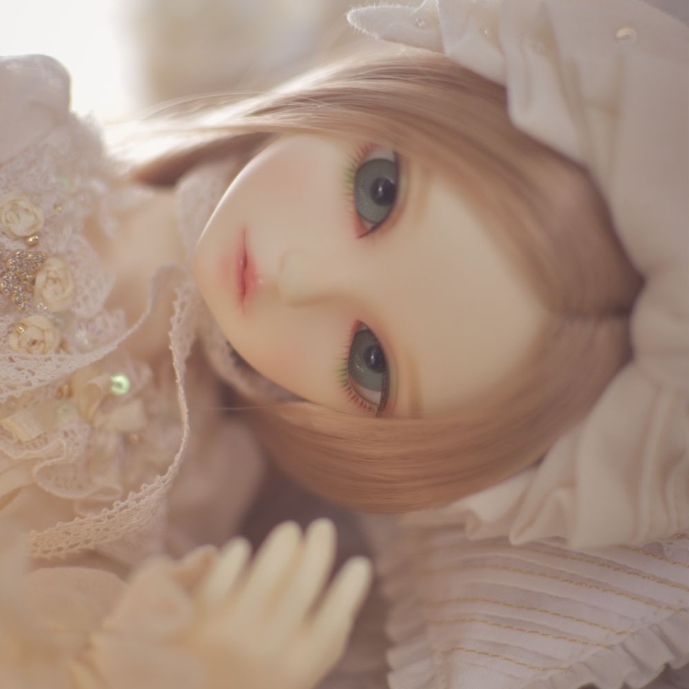 おさかな