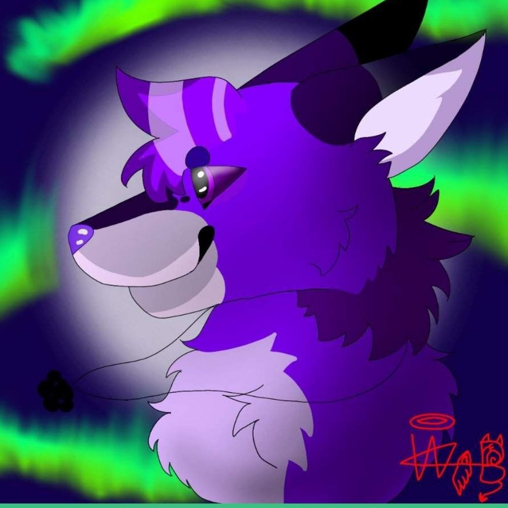 🏳️‍🌈AdenTheWolf🏳️‍🌈 (Very Fluffy :3)