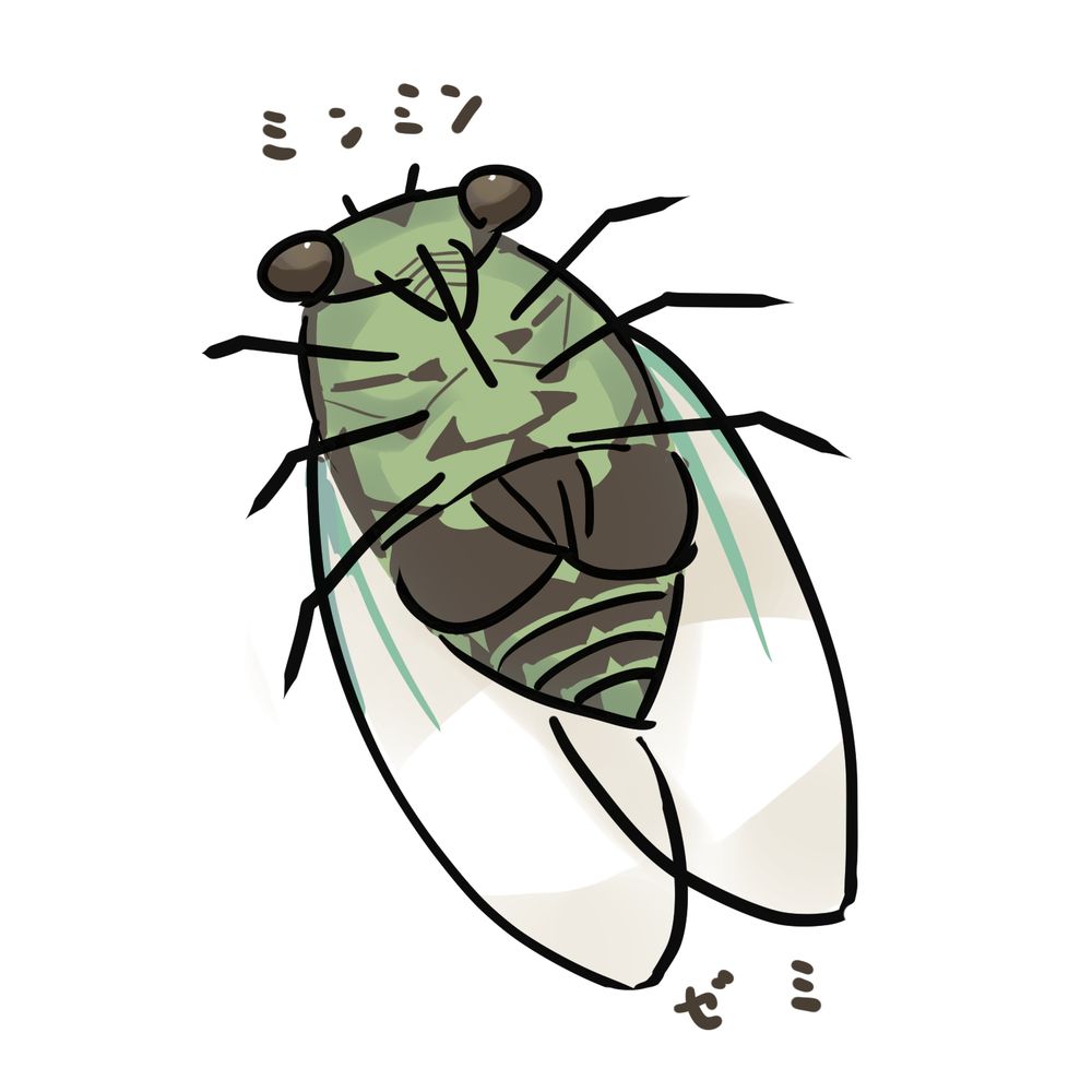 みのす