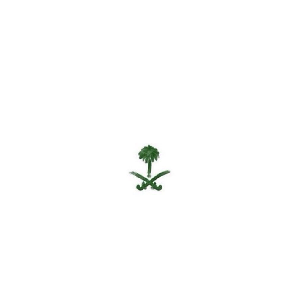 Vision of the Kingdom of Saudi Arabia 🇸🇦